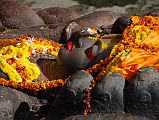 Kathmandu Valley 1 Budhanikantha 2 Sleeping Vishnu Head Close Up The 5m long image Budhanilkantha Narayan (Sleeping Vishnu) was created in the 7th or 8th century from one monolithic piece of stone and is the most impressive, if not the most important, Vishnu shrine in Nepal.